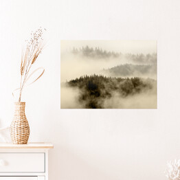 Plakat samoprzylepny Mgła pokrywająca las na wzgórzach
