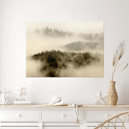 Plakat Mgła pokrywająca las na wzgórzach