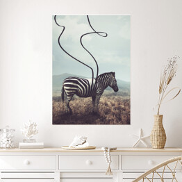 Plakat Zebra na plaży