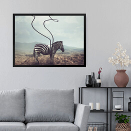 Obraz w ramie Zebra na plaży