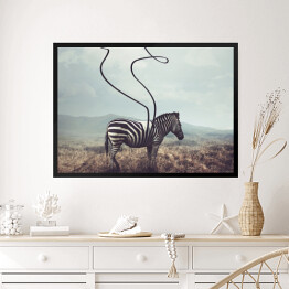 Obraz w ramie Zebra na plaży