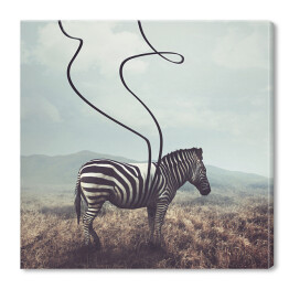 Obraz na płótnie Zebra na plaży