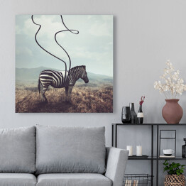 Obraz na płótnie Zebra na plaży