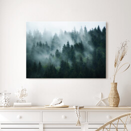 Obraz na płótnie Krajobraz z gęstą mgłą w lesie