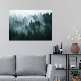 Plakat samoprzylepny Krajobraz z gęstą mgłą w lesie