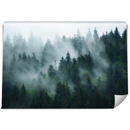 Fototapeta samoprzylepna Krajobraz z gęstą mgłą w lesie