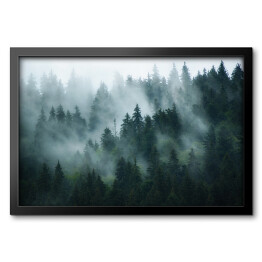 Obraz w ramie Krajobraz z gęstą mgłą w lesie