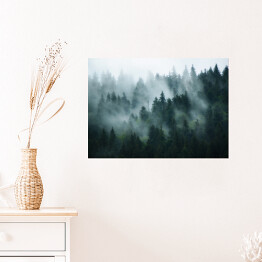 Plakat Krajobraz z gęstą mgłą w lesie