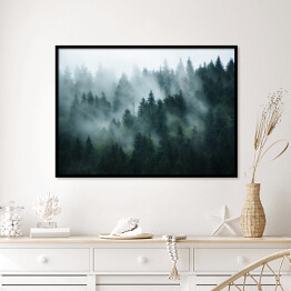 Plakat w ramie Krajobraz z gęstą mgłą w lesie