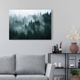 Obraz na płótnie Krajobraz z gęstą mgłą w lesie