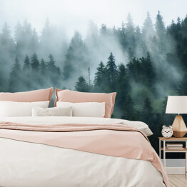 Fototapeta winylowa zmywalna Krajobraz z gęstą mgłą w lesie