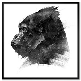 Plakat w ramie Rysowana głowa goryla w odcieniach szarości