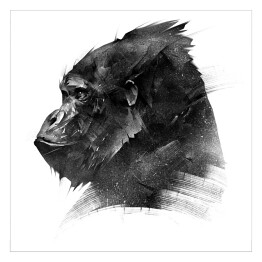 Plakat samoprzylepny Rysowana głowa goryla w odcieniach szarości