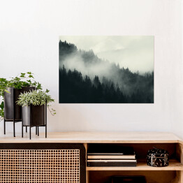 Plakat samoprzylepny Mgła nad ciemnym lasem
