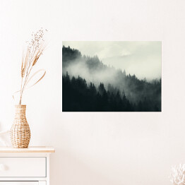Plakat samoprzylepny Mgła nad ciemnym lasem