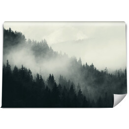 Fototapeta samoprzylepna Mgła nad ciemnym lasem
