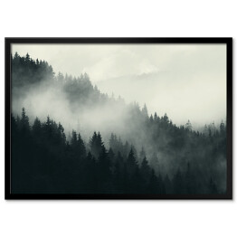 Plakat w ramie Mgła nad ciemnym lasem