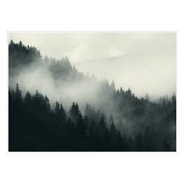 Plakat Mgła nad ciemnym lasem