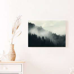 Obraz na płótnie Mgła nad ciemnym lasem