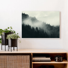 Obraz na płótnie Mgła nad ciemnym lasem