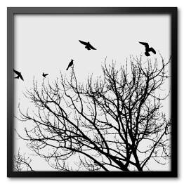 Obraz w ramie Czarne ptaki latające nad koroną drzwa