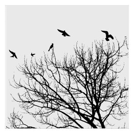 Plakat samoprzylepny Czarne ptaki latające nad koroną drzwa