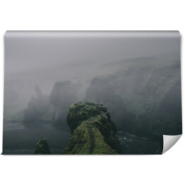 Fototapeta samoprzylepna Klify porośnięte mchem we mgle, Islandia