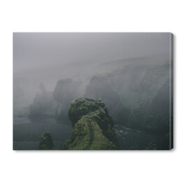 Klify porośnięte mchem we mgle, Islandia