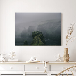 Obraz na płótnie Klify porośnięte mchem we mgle, Islandia