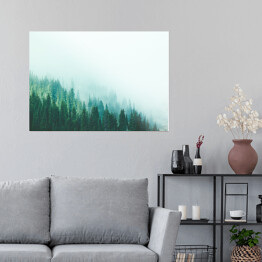 Plakat samoprzylepny Las w górach znikający we mgle