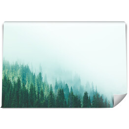 Fototapeta Las w górach znikający we mgle