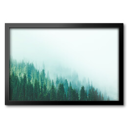 Obraz w ramie Las w górach znikający we mgle