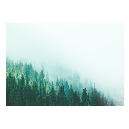 Plakat samoprzylepny Las w górach znikający we mgle