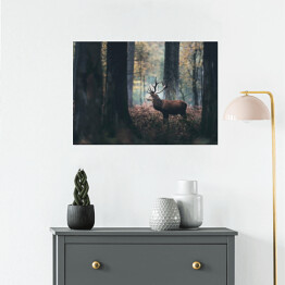 Plakat Jeleń w mrocznym, zamglonym lesie jesienią