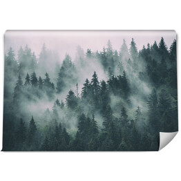 Fototapeta winylowa zmywalna Las iglasty tonący we mgle