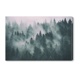 Obraz na płótnie Las iglasty tonący we mgle