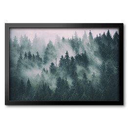 Obraz w ramie Las iglasty tonący we mgle