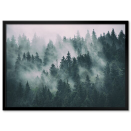 Plakat w ramie Las iglasty tonący we mgle