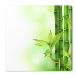 Obraz na płótnie Bambus z listkami
