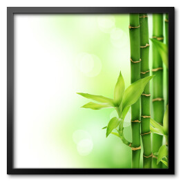 Obraz w ramie Bambus z listkami