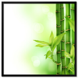 Plakat w ramie Bambus z listkami
