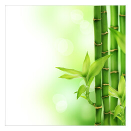 Plakat samoprzylepny Bambus z listkami
