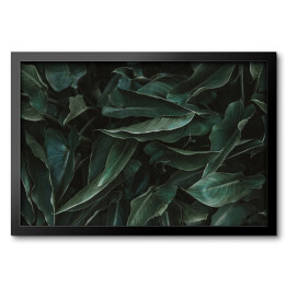 Obraz w ramie Szarozielone egzotyczne liście