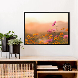 Obraz w ramie Różowe kwiaty na kwiecistej łące