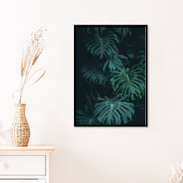 Plakat w ramie Roślinność dżungli - liście