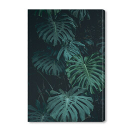 Obraz na płótnie Roślinność dżungli - liście