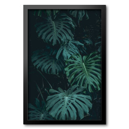 Obraz w ramie Roślinność dżungli - liście