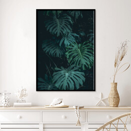 Plakat w ramie Roślinność dżungli - liście