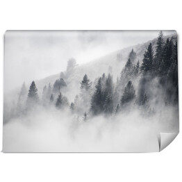 Fototapeta Tańcząca mgła Kolorado