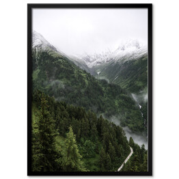 Plakat w ramie Krajobraz z zieloną polaną, drzewami na wzgórzu oraz ośnieżonymi górami